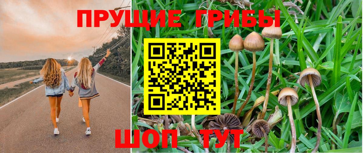 Котлас  Галлюциногенные грибы ЛСД  Вход с VPN 